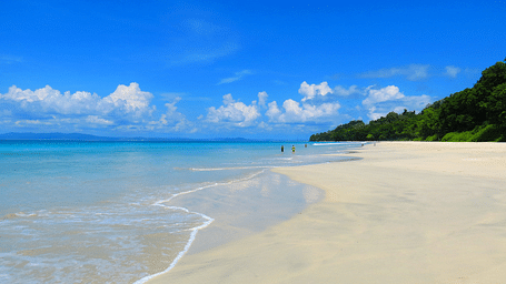 Stunning View of Radhanagar Beach: Eco-Friendly Tourism in the Andaman Islands